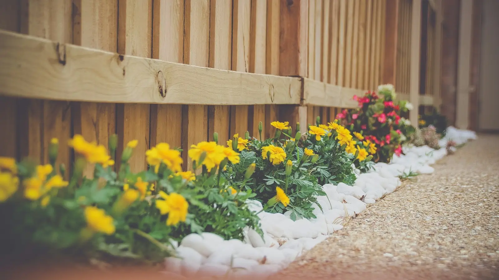 Landscaping with flowers and rocks